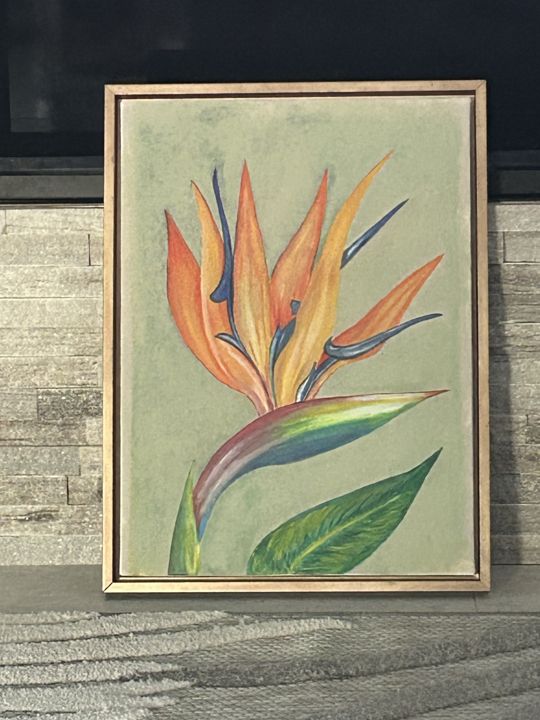 Bird of Paradise